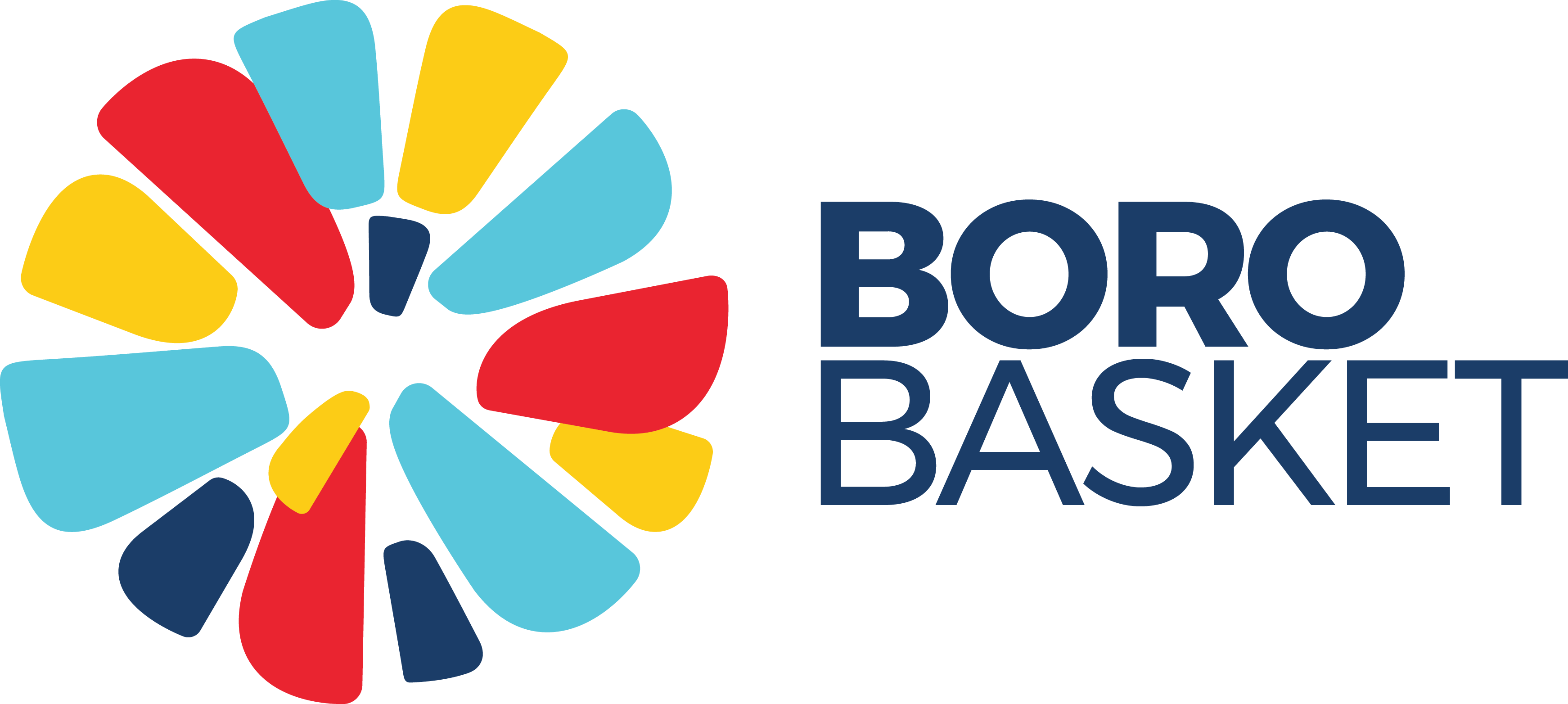 borobasket