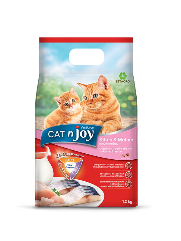 Cat n Joy Kitten n Mother Ocean fish,chicken and milk