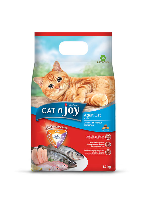 Cat n Joy Adults Ocean fish