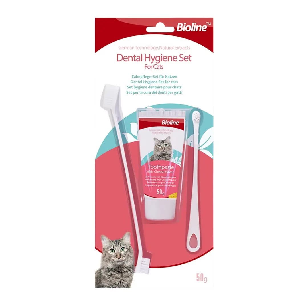 Dental Hygicne set for cat